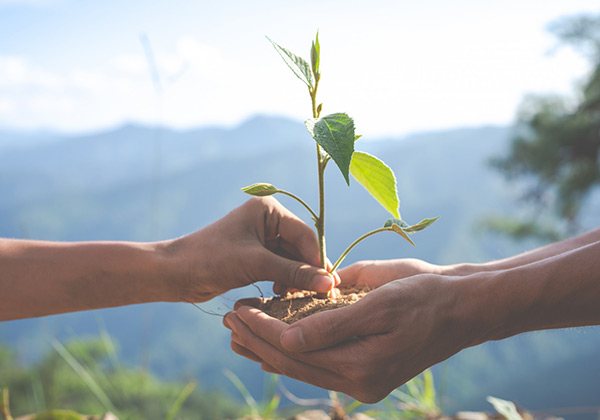 rehabilitation-centre